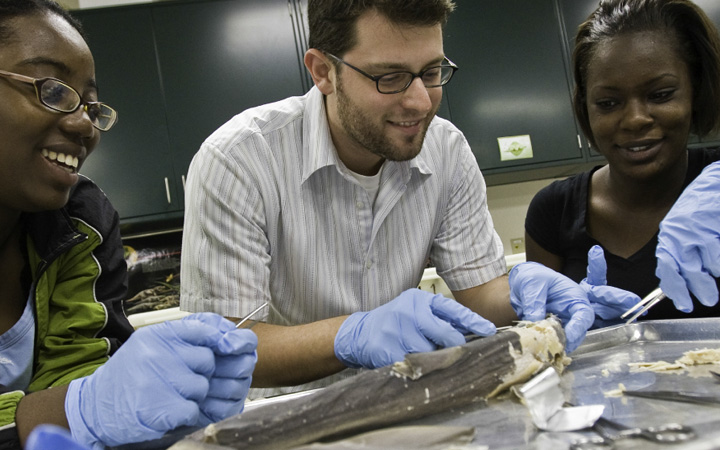 Students in a science lab