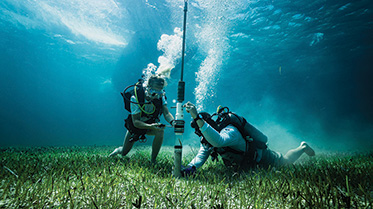 Student doing underwater research on sharks.