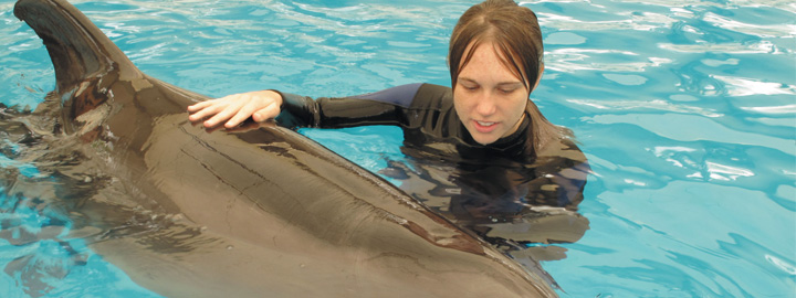 Swimming with dolphin