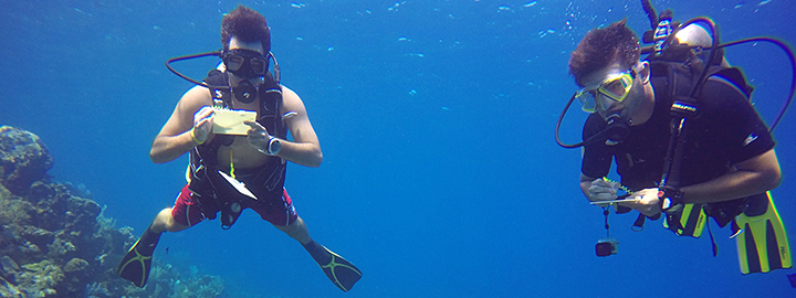 Students scuba diving