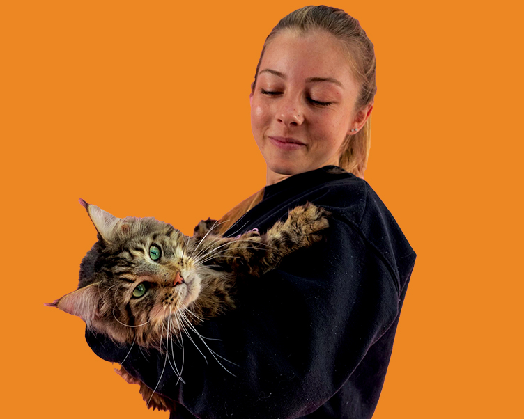 Brieanna Rekow ’21 and Sam, the “house cat” at Cats and Caffeine