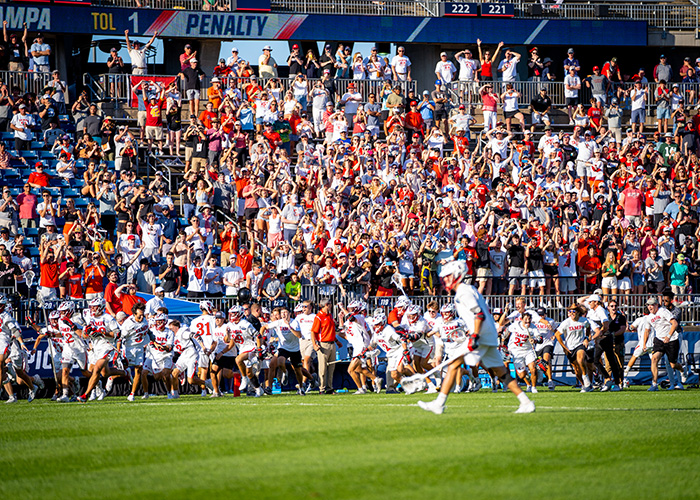 Crowd at an LAX game