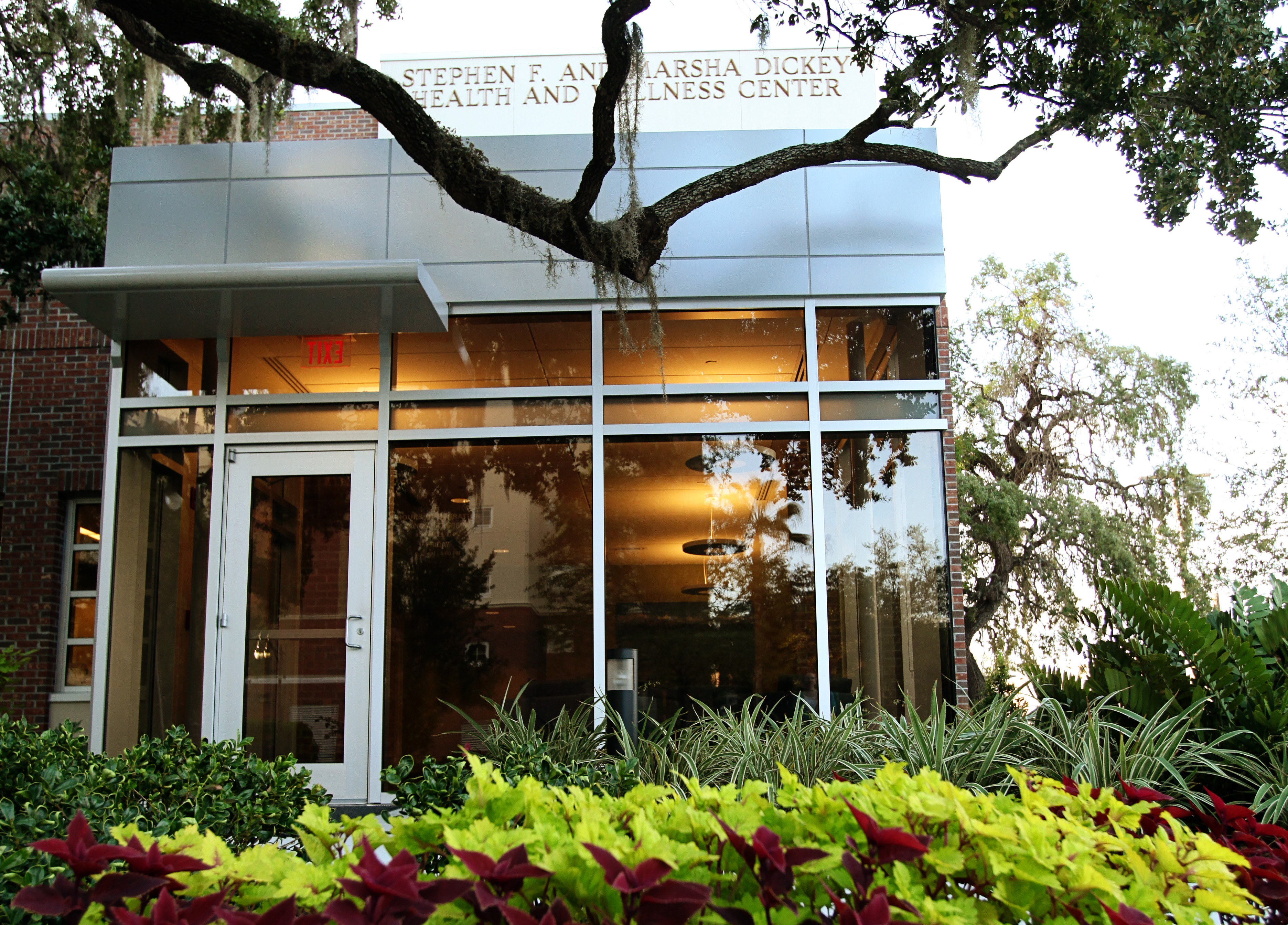 Plants in front of the Health Center