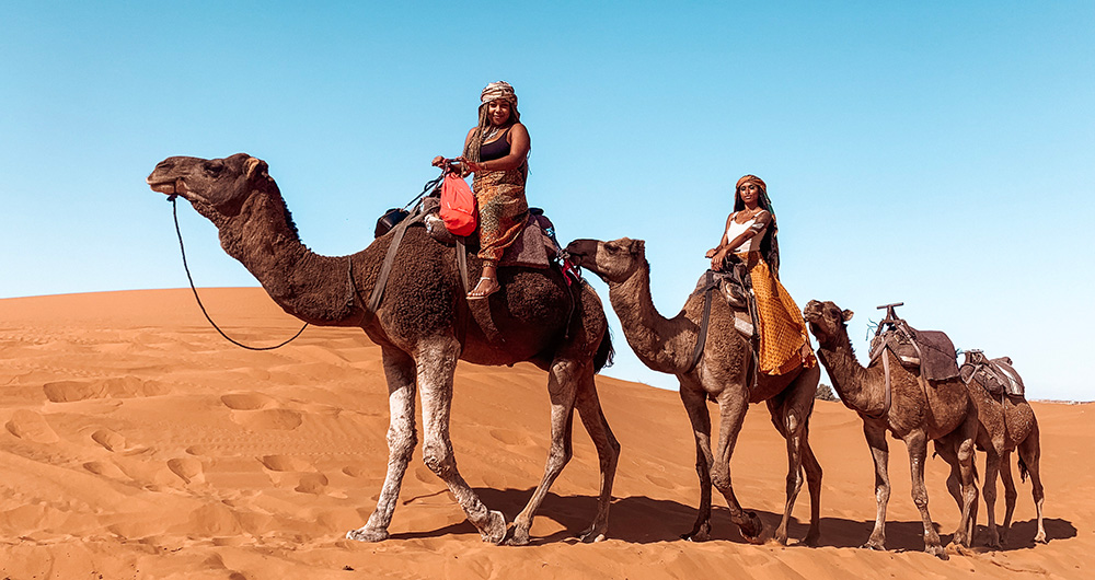 Students riding camels