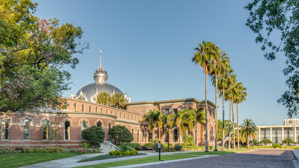 Transfer Student Frequently Asked Questions | University of Tampa