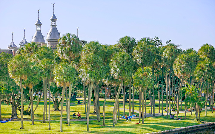 tampa university virtual tour